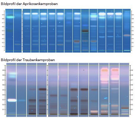 TM Lynn Zurkirchen TM Lynn Zurkirchen