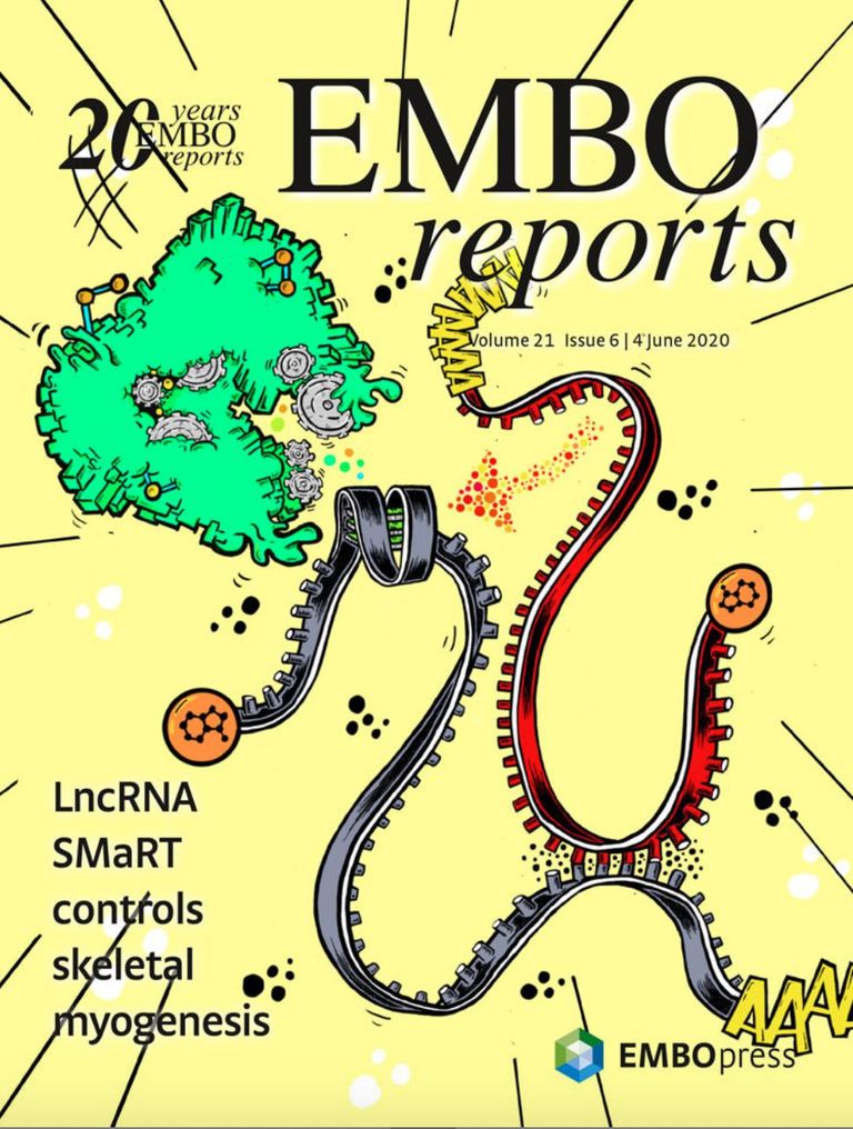 EMBO reports 2020 EMBO reports 2020