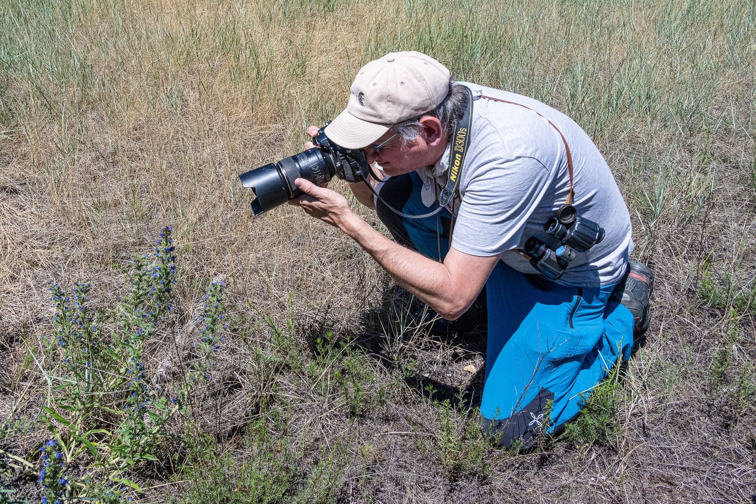 Pfynwald, Bild 09 Pfynwald, Bild 09