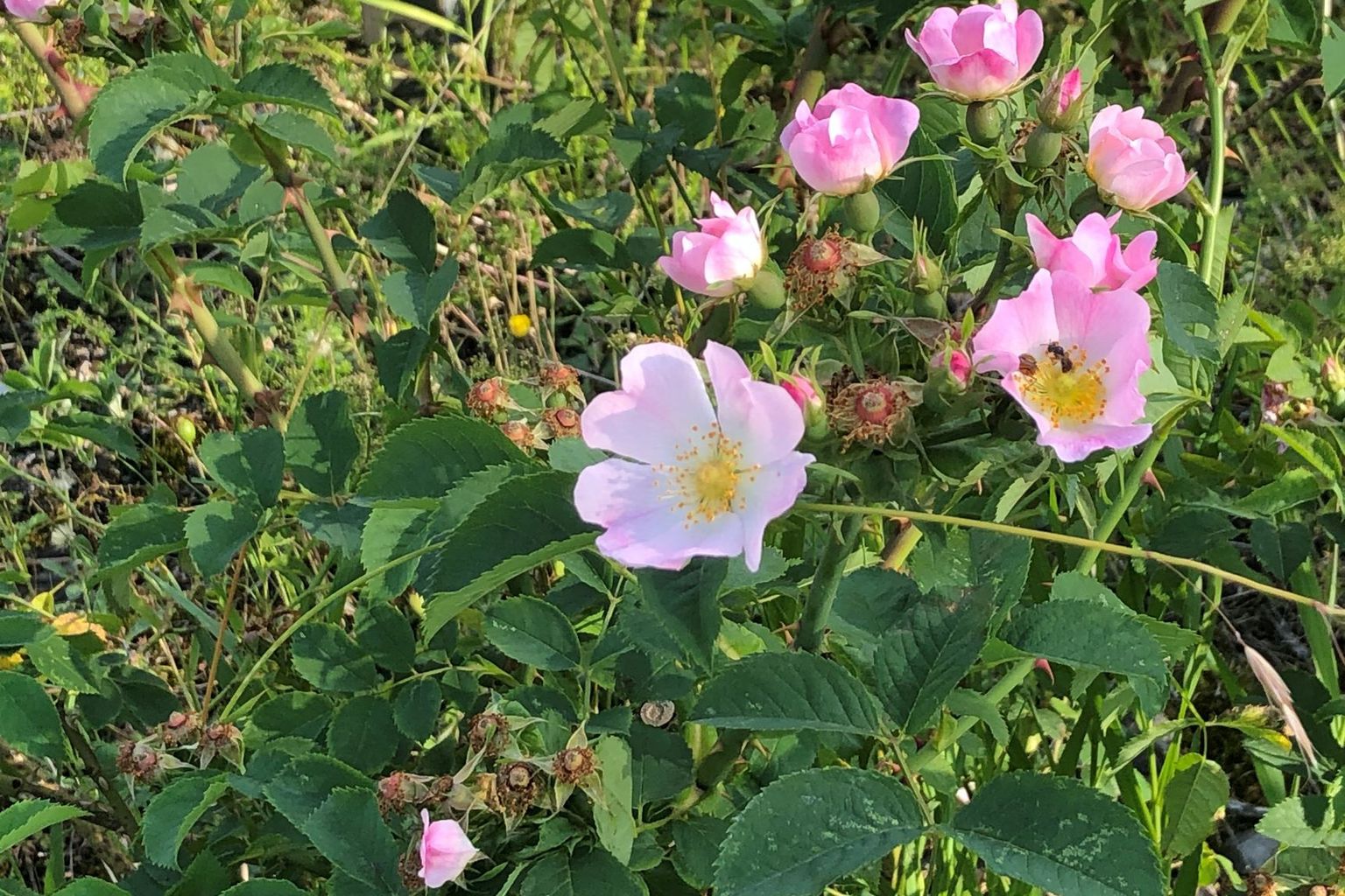 Georges Moser. Bei Autobahnausfahrt, Hergiswil Georges Moser. Bei Autobahnausfahrt, Hergiswil
