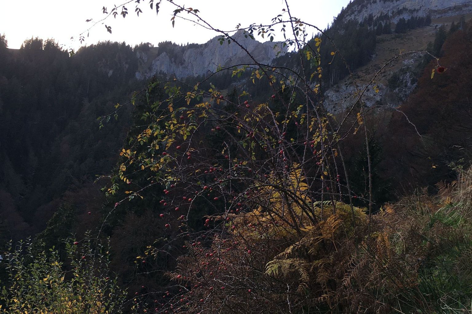 Abendstimmung beim Kartieren Abendstimmung beim Kartieren