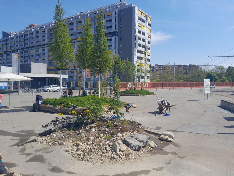 L’ajout de végétation et la désimperméabilisation du sol, comme ici à l’Ansermetplatz à Berne, ont un effet mesurable de refroidissement des îlots de chaleur. L’ajout de végétation et la désimperméabilisation du sol, comme ici à l’Ansermetplatz à Berne, ont un effet mesurable de refroidissement des îlots de chaleur.