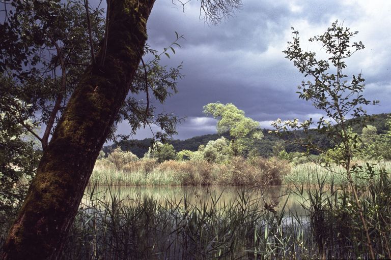 atmosfera temporalesca lago foreste alluvionali atmosfera temporalesca lago foreste alluvionali