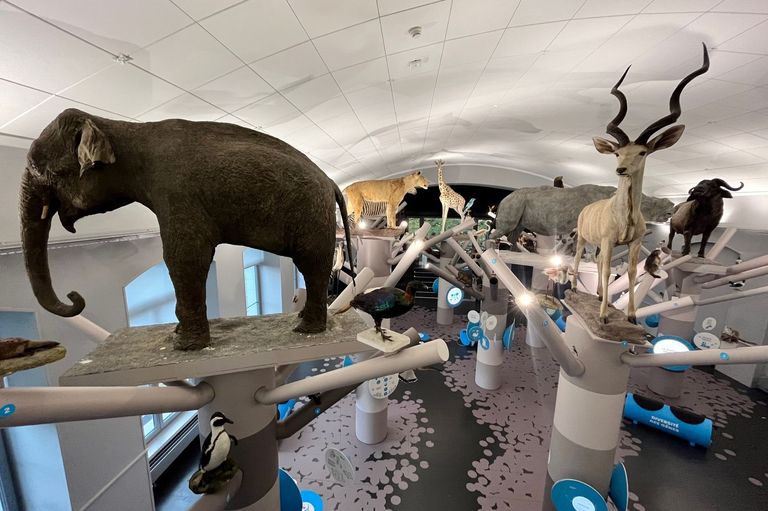 «Plan B», die Dauerausstellung von MUZOO in La Chaux-de-Fonds «Plan B», die Dauerausstellung von MUZOO in La Chaux-de-Fonds