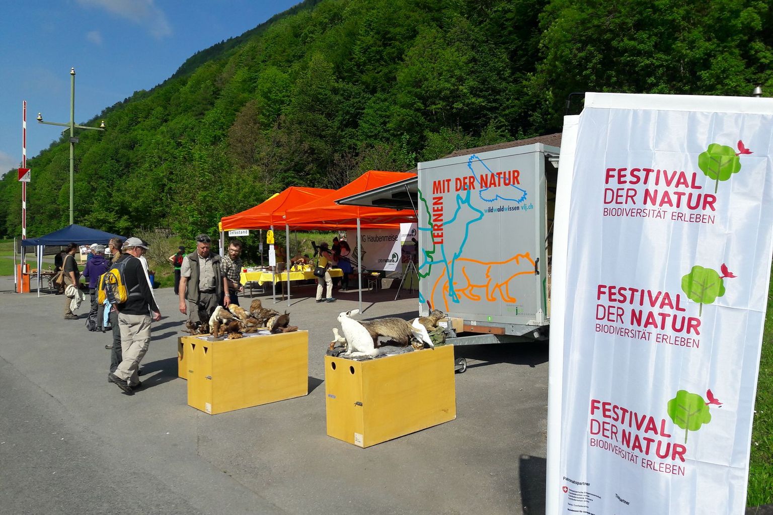 Marktstimmung im Gnappi Marktstimmung im Gnappi