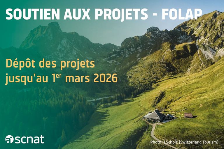 Soumettez vos projets dès maintenant et jusqu'au 1er mars 2026. Soumettez vos projets dès maintenant et jusqu'au 1er mars 2026.
