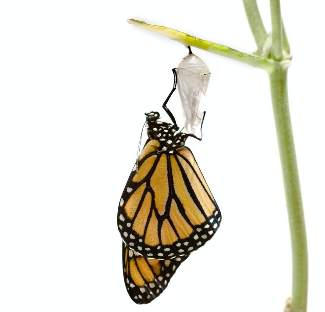 beispiel tranformation beispiel tranformation