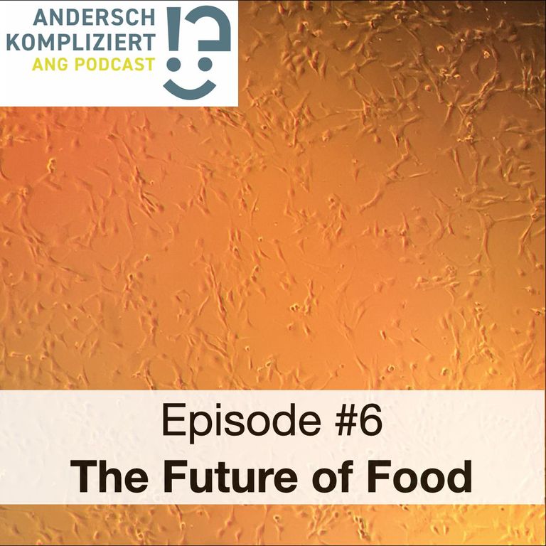 Podcast Episode #6 Podcast Episode #6