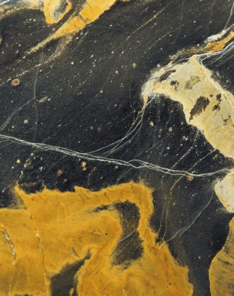 Schnittbild der Nagelfluh Schnittbild der Nagelfluh