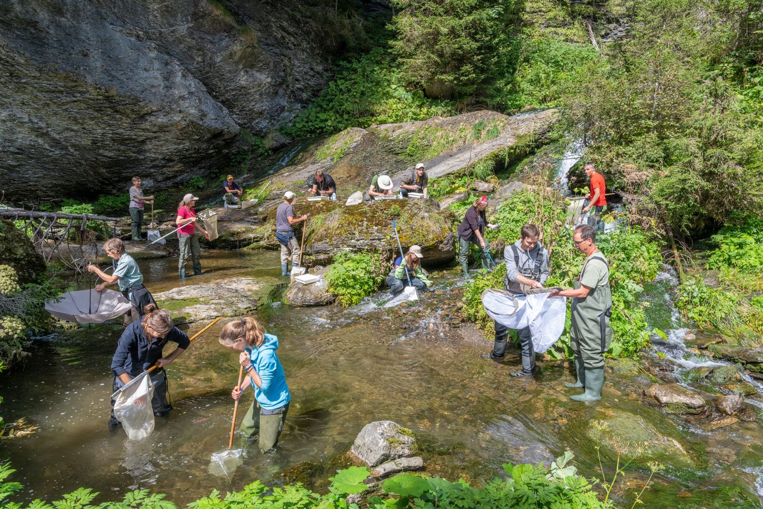 Ein Feldteam aus rund 20 Gewässerspezialistinnen und -spezialisten ist in der ganzen Schweiz unterwegs, um jedes Jahr rund 100 Gewässerabschnitte mittels Kick-Sampling zu beproben, die Ökomorphologie zu ermitteln und die Gewässerwirbellosen auf Familienniveau zu bestimmen. Ein Feldteam aus rund 20 Gewässerspezialistinnen und -spezialisten ist in der ganzen Schweiz unterwegs, um jedes Jahr rund 100 Gewässerabschnitte mittels Kick-Sampling zu beproben, die Ökomorphologie zu ermitteln und die Gewässerwirbellosen auf Familienniveau zu bestimmen.