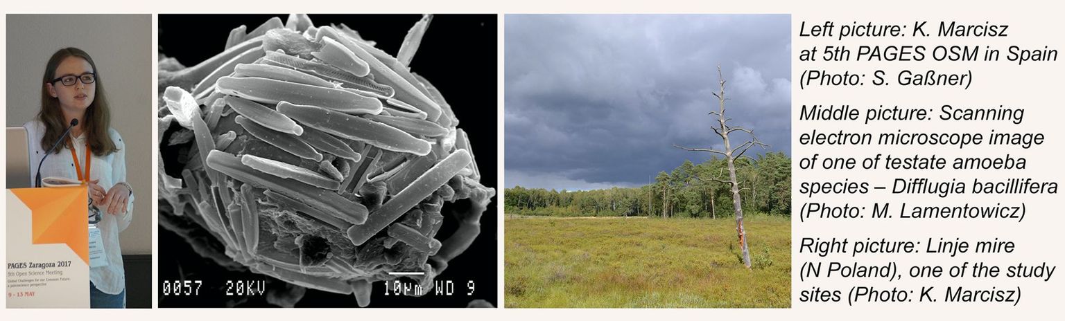 K. Marcisz K. Marcisz