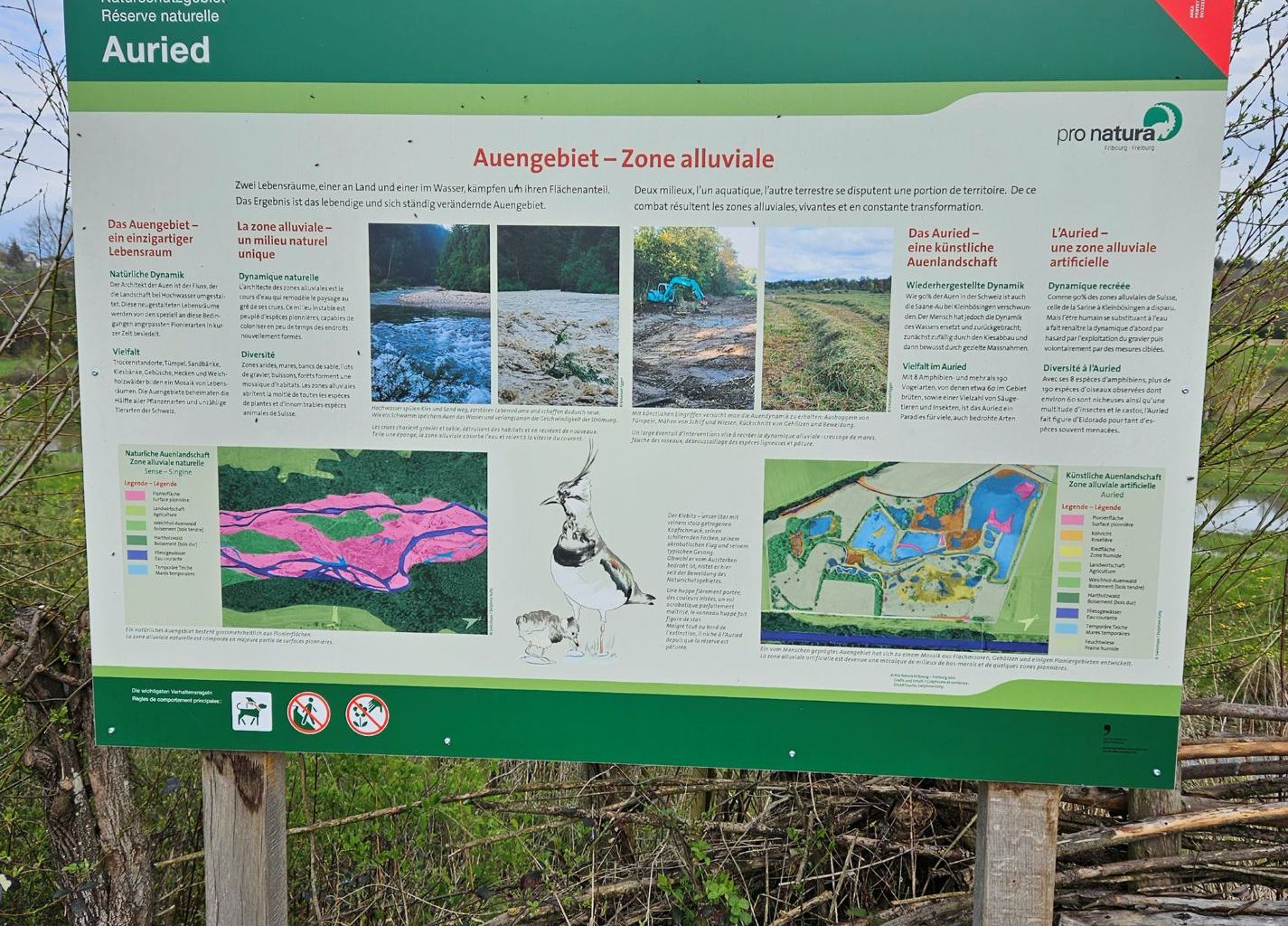 Auried, Bild 01 Auried, Bild 01