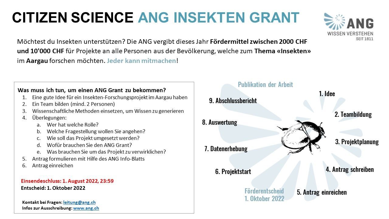 ANG Flyer Insekten Grant ANG Flyer Insekten Grant