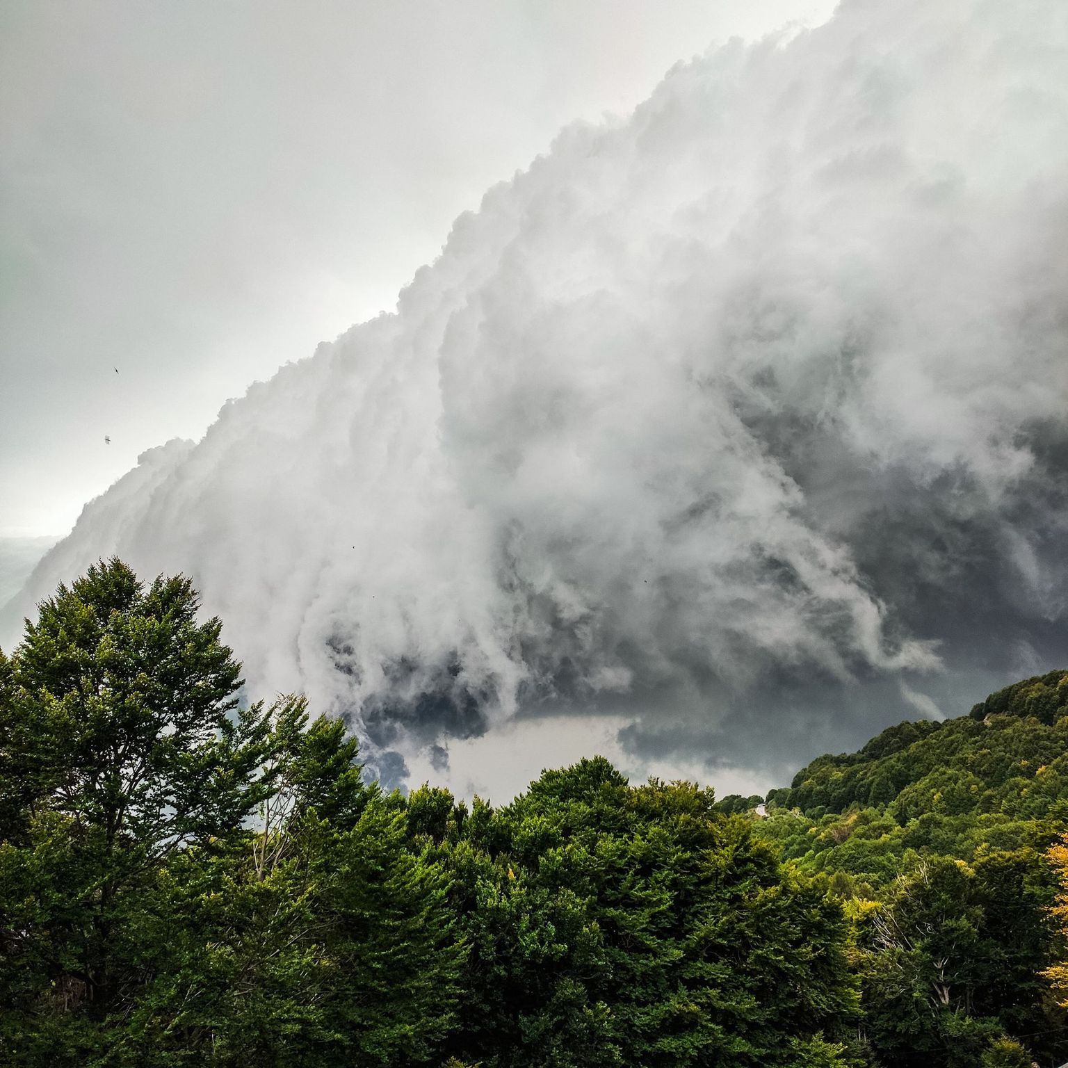 Thunderstorm Thunderstorm