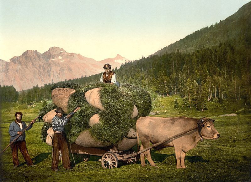 Heufuhr im Engadin um 1900 Heufuhr im Engadin um 1900