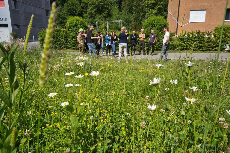 Gespräche in der Siedlung Gespräche in der Siedlung