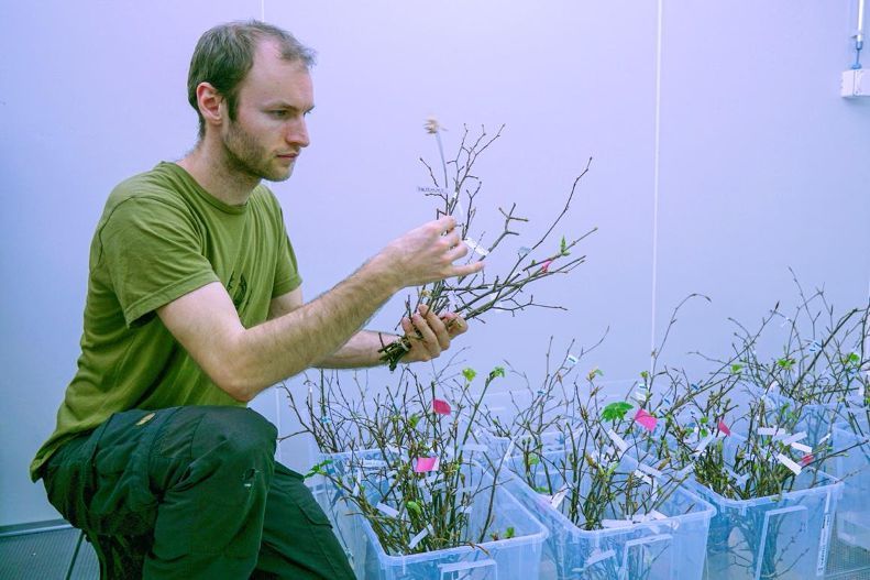 Frederik Baumgarten (PhD student at WSL) during the monitoring Frederik Baumgarten (PhD student at WSL) during the monitoring
