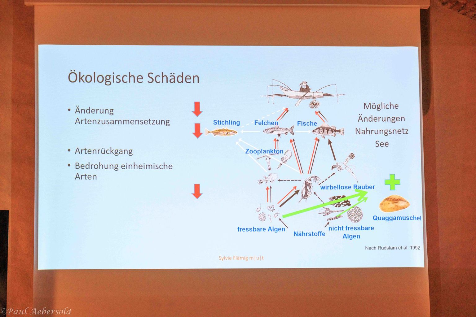 NGT – Invasive Neozoen 03 NGT – Invasive Neozoen 03