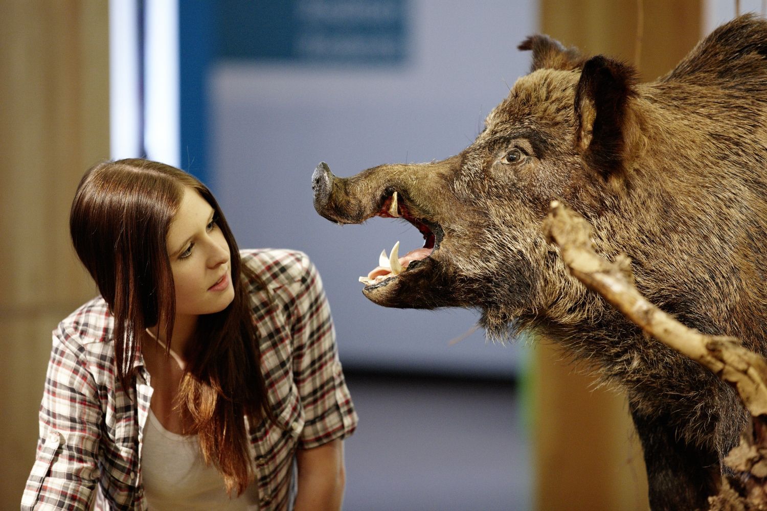 Ausschreibung - Mise au concours Prix Expo 2015 Ausschreibung - Mise au concours Prix Expo 2015