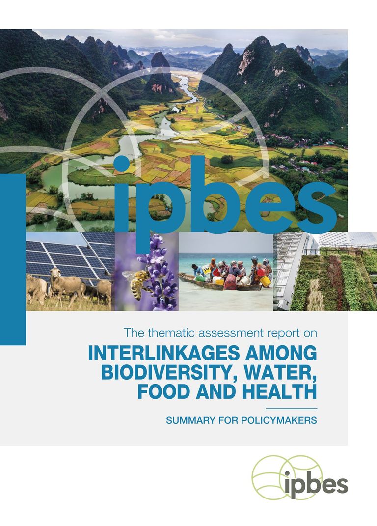 Englisches Titelblatt der Zusammenfassung für die pol. Entscheidungsfindung des Nexus Berichts. Englisches Titelblatt der Zusammenfassung für die pol. Entscheidungsfindung des Nexus Berichts.