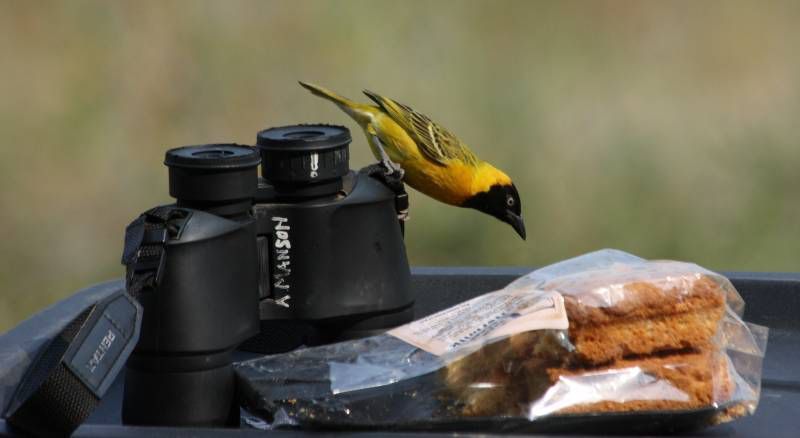 Qui observe quoi? Qui observe quoi?