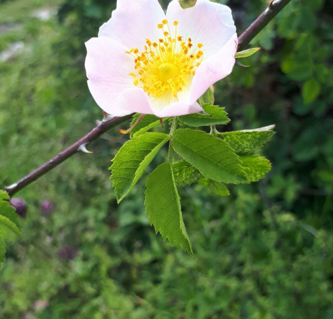 Gaby Müller. Etschenried Gaby Müller. Etschenried