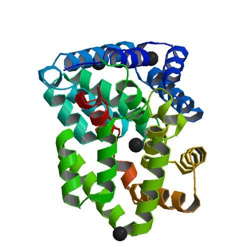 Fel d 1 (Katzenallergen) Fel d 1 (Katzenallergen)
