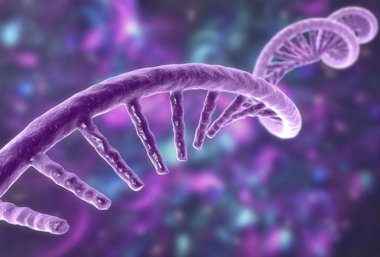 Les technologies à ARN en médecine et en agriculture Les technologies à ARN en médecine et en agriculture