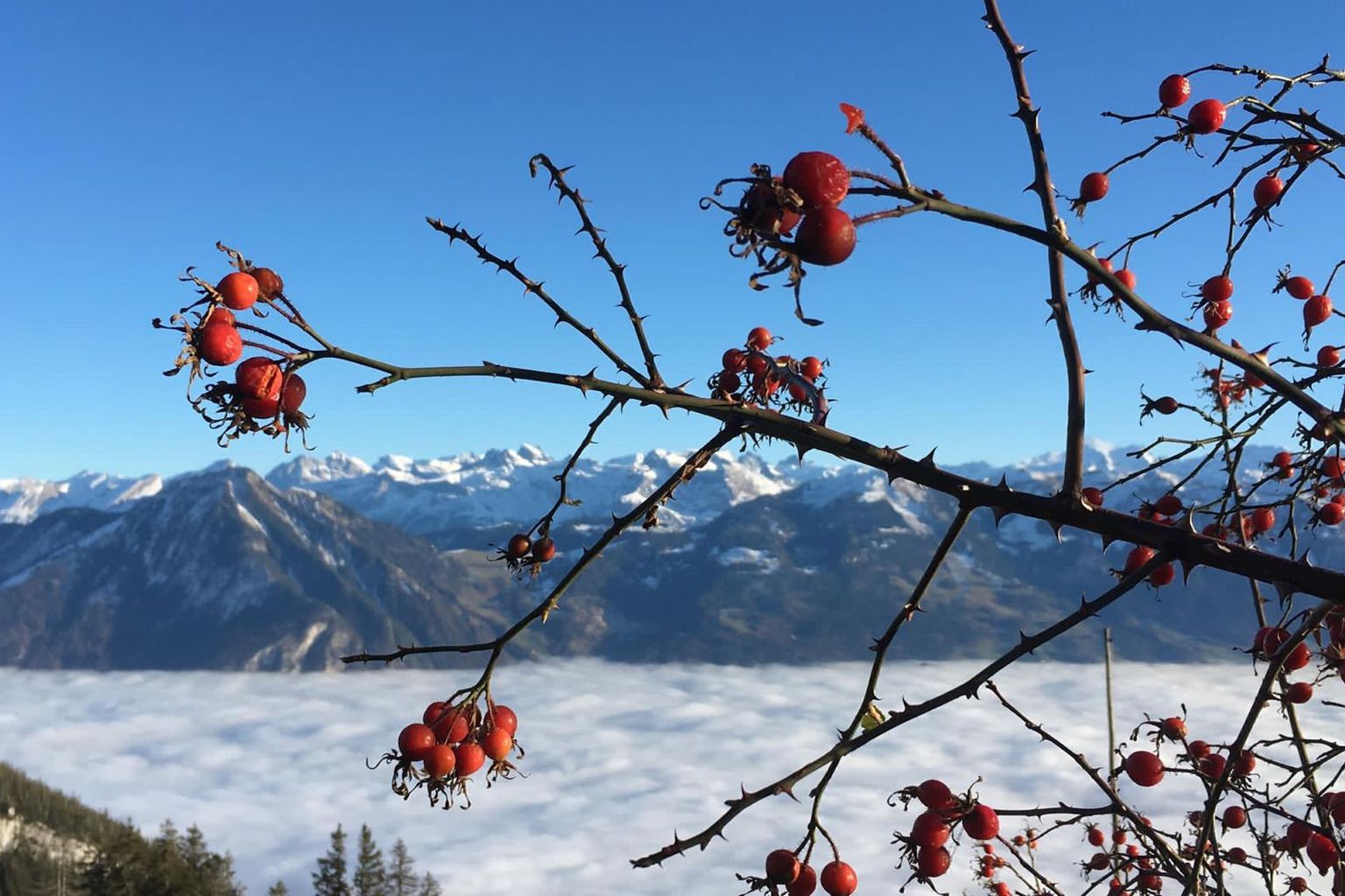 Barbara Dall'Omo. Zwischen Lütholdsmatt und Melchegg Barbara Dall'Omo. Zwischen Lütholdsmatt und Melchegg