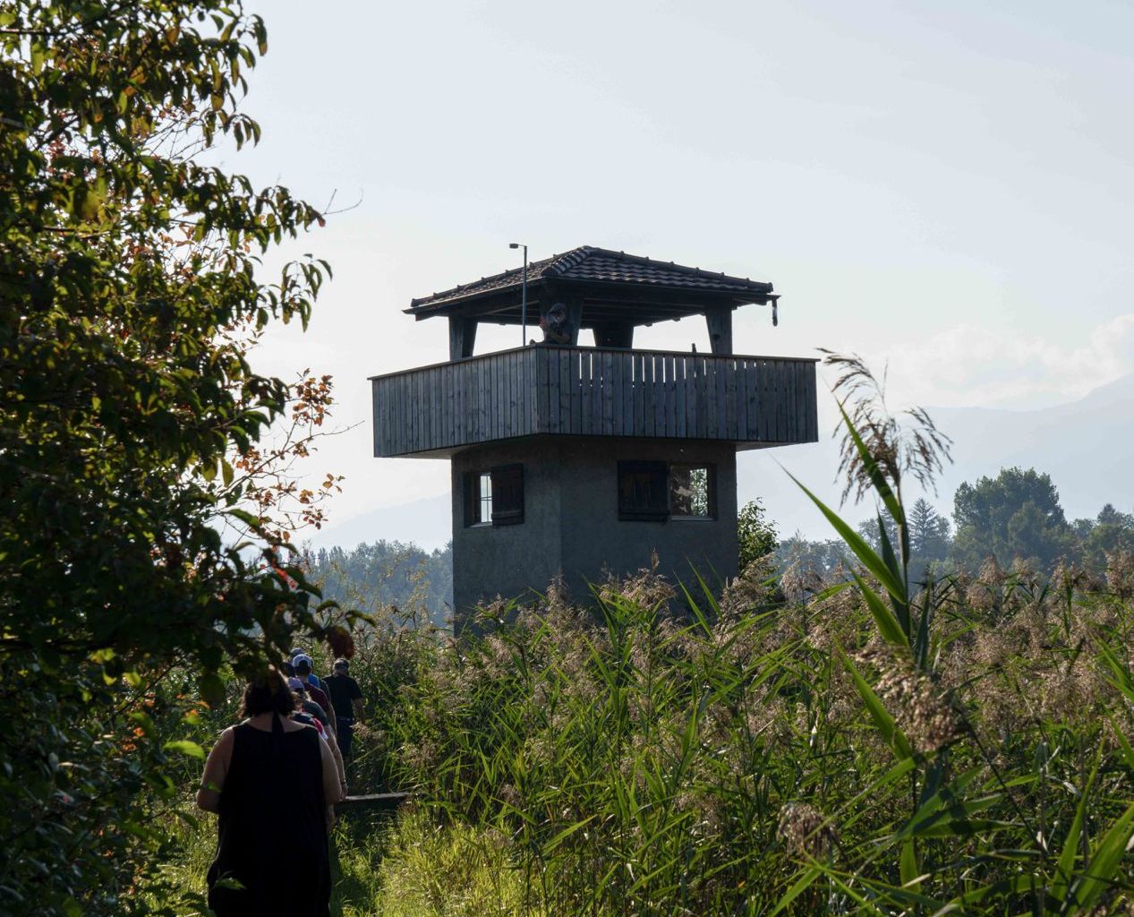 NGT: Tag des Turms 2023, Bild 04 NGT: Tag des Turms 2023, Bild 04