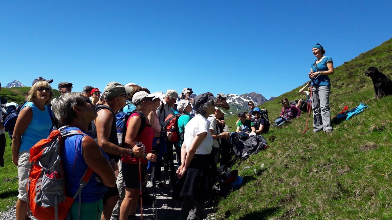 Exkursion Bartgeier Exkursion Bartgeier