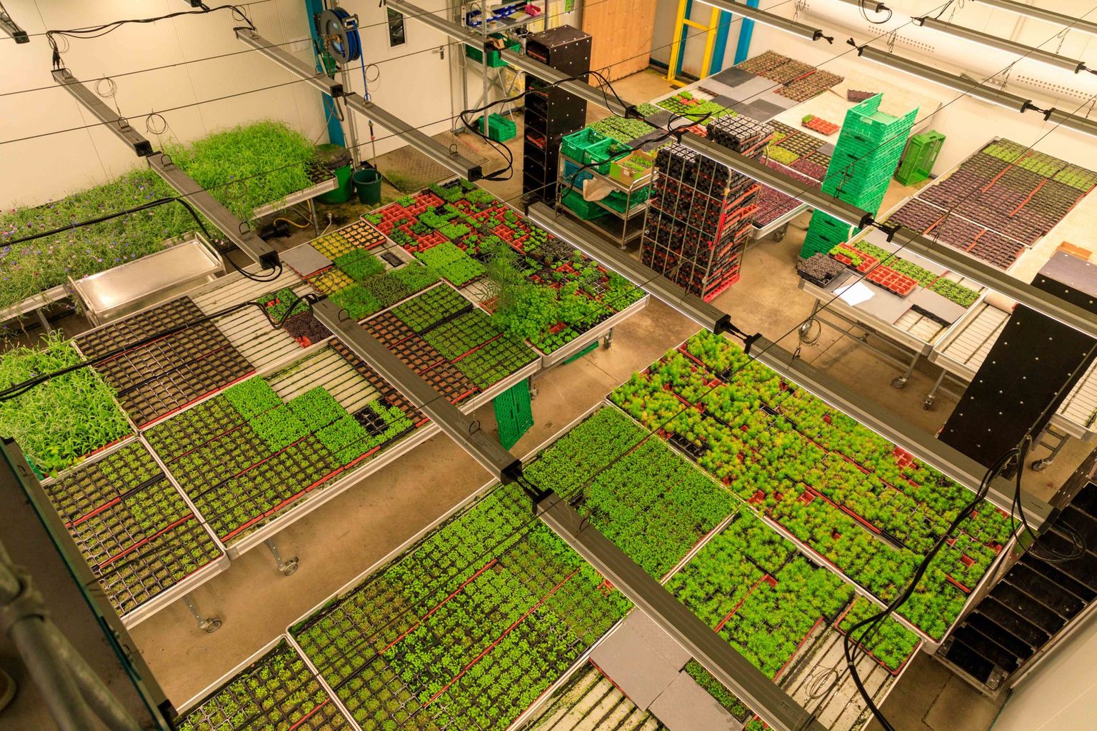 Exkursion Espro-Sprossen, Bild 10 Exkursion Espro-Sprossen, Bild 10