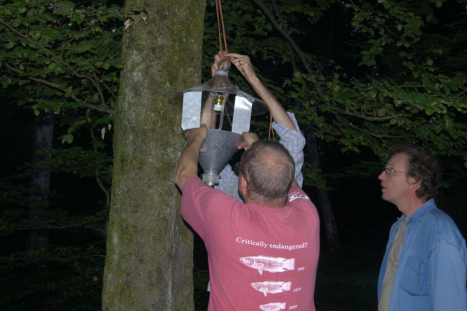 Summer school 2013 (plate-forme Biologie) Summer school 2013 (plate-forme Biologie)