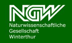 NGW Logo NGW Logo