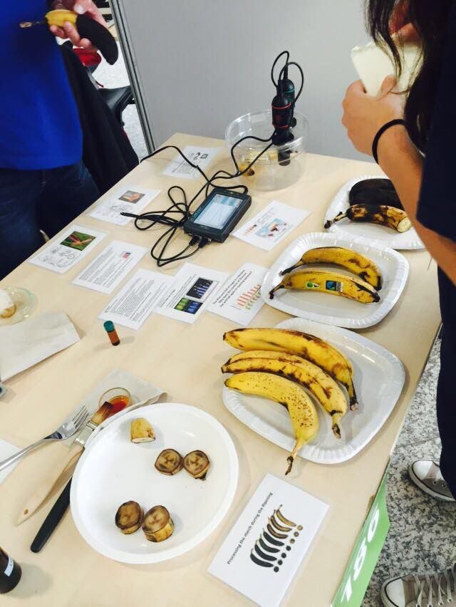 Banana_SonSeu Banana_SonSeu