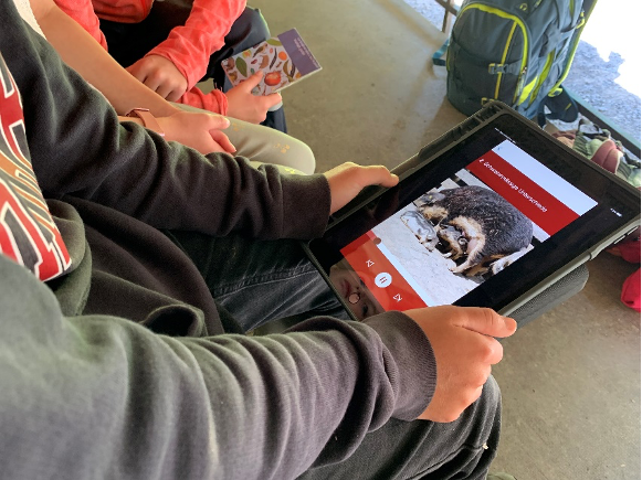 Die Audio-App auf dem Tablet oder Smartphone fordert auf zum Beobachten, Nachdenken und Diskutieren. Die Audio-App auf dem Tablet oder Smartphone fordert auf zum Beobachten, Nachdenken und Diskutieren.