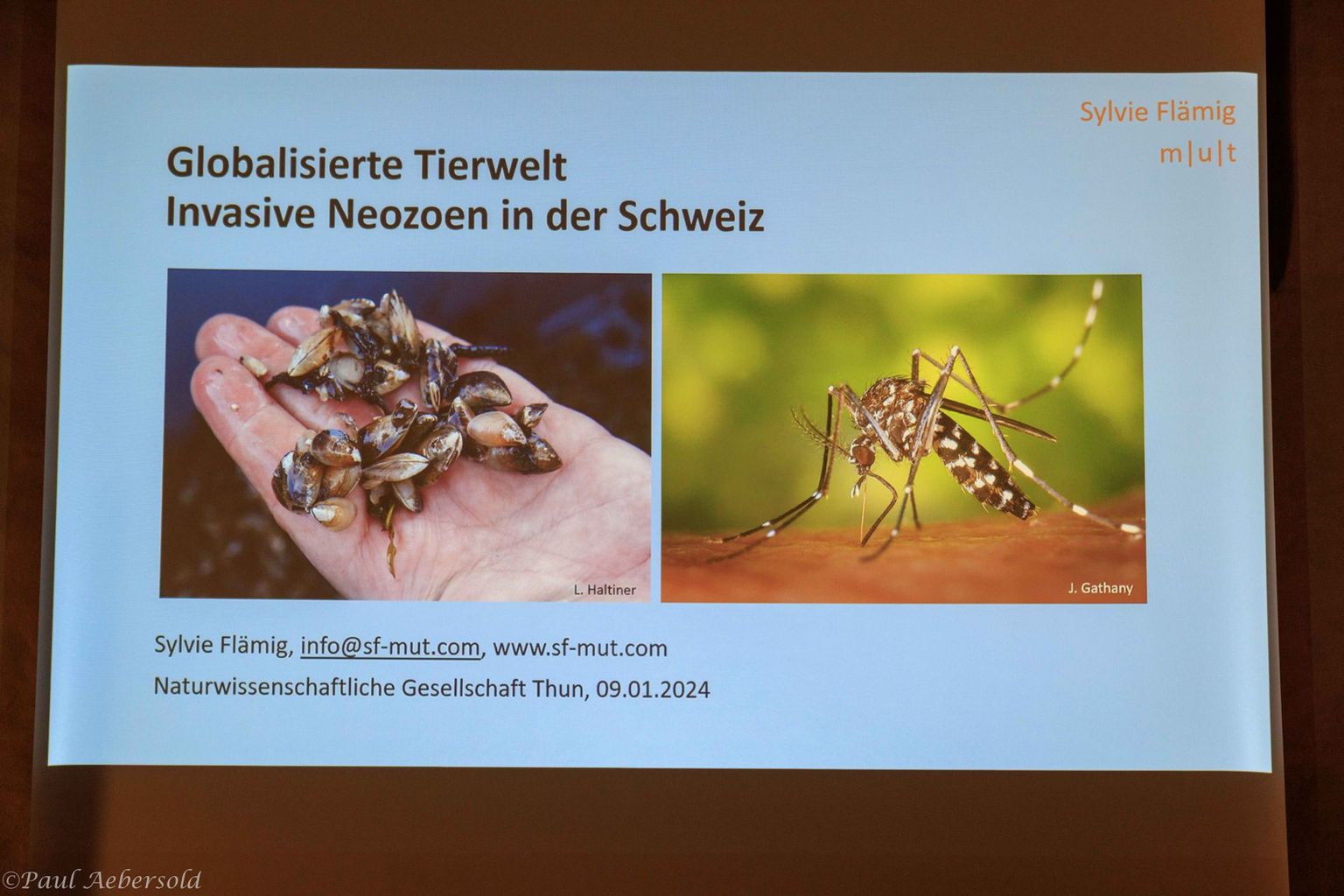 NGT – Invasive Neozoen 01 NGT – Invasive Neozoen 01