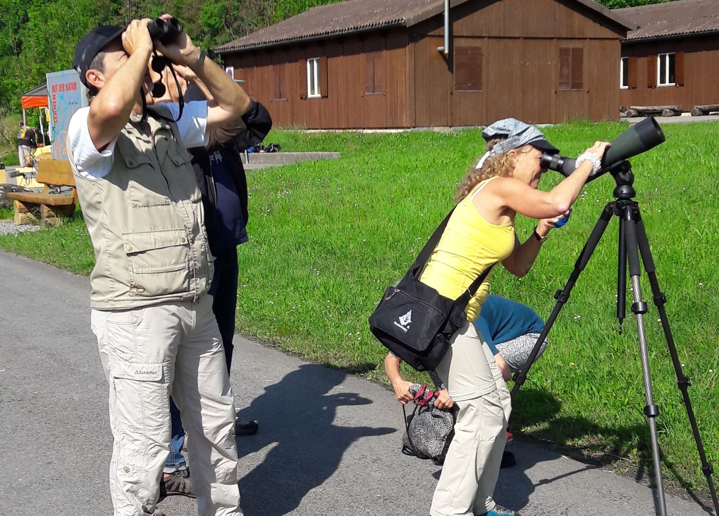 Vogelpirsch Vogelpirsch