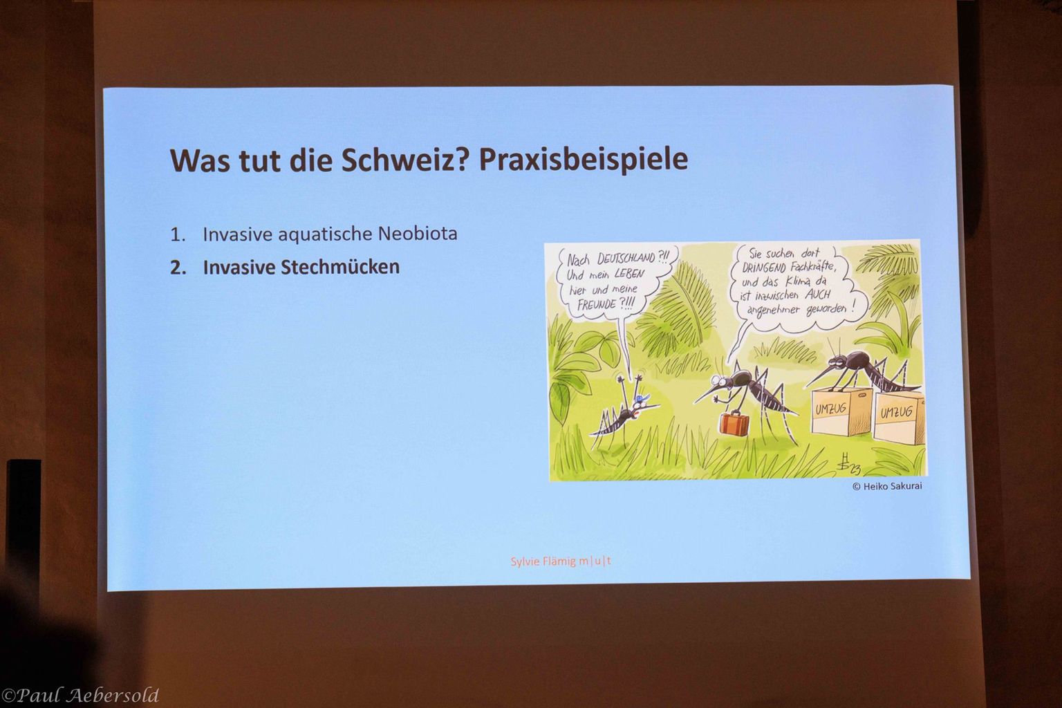 NGT – Invasive Neozoen 05 NGT – Invasive Neozoen 05