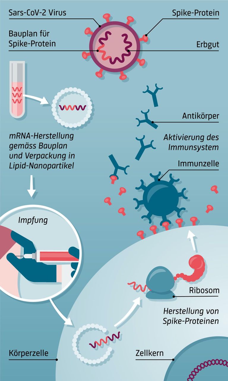 mRNA-Impfstoffe mRNA-Impfstoffe