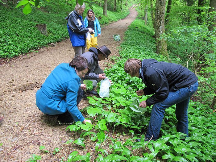 Kurs Naturwerkstatt Kurs Naturwerkstatt