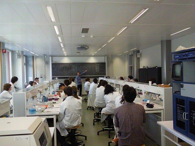 Summer school 2010 (plate-forme Biologie) Summer school 2010 (plate-forme Biologie)