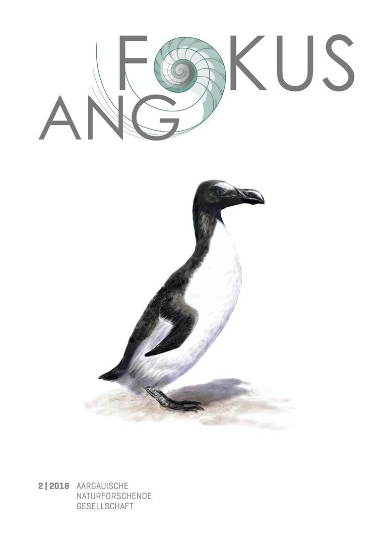 ANG-Fokus 2|2018 ANG-Fokus 2|2018