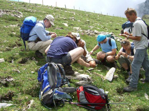 Exkursion Widderfeld 2006 Exkursion Widderfeld 2006