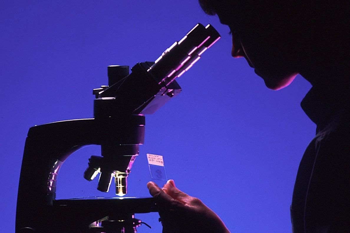 Microscope Microscope