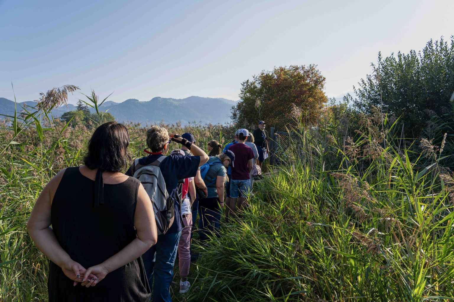 NGT: Tag des Turms 2023, Bild 03 NGT: Tag des Turms 2023, Bild 03