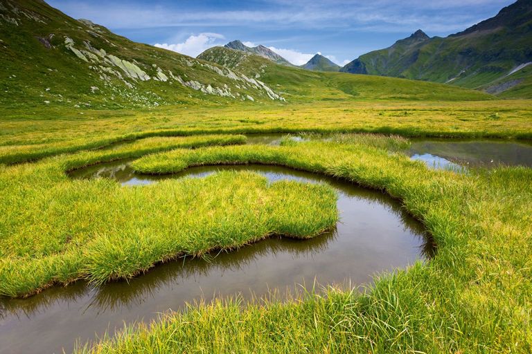 Tagung Parkforschung 2011 Tagung Parkforschung 2011