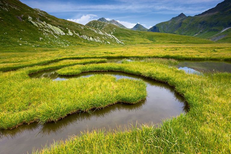 Tagung Parkforschung 2011 Tagung Parkforschung 2011