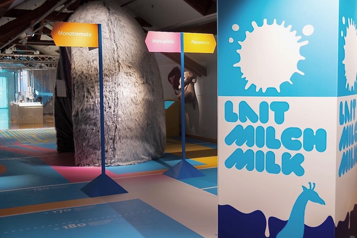 Milch – mütterliches Elixier Milch – mütterliches Elixier