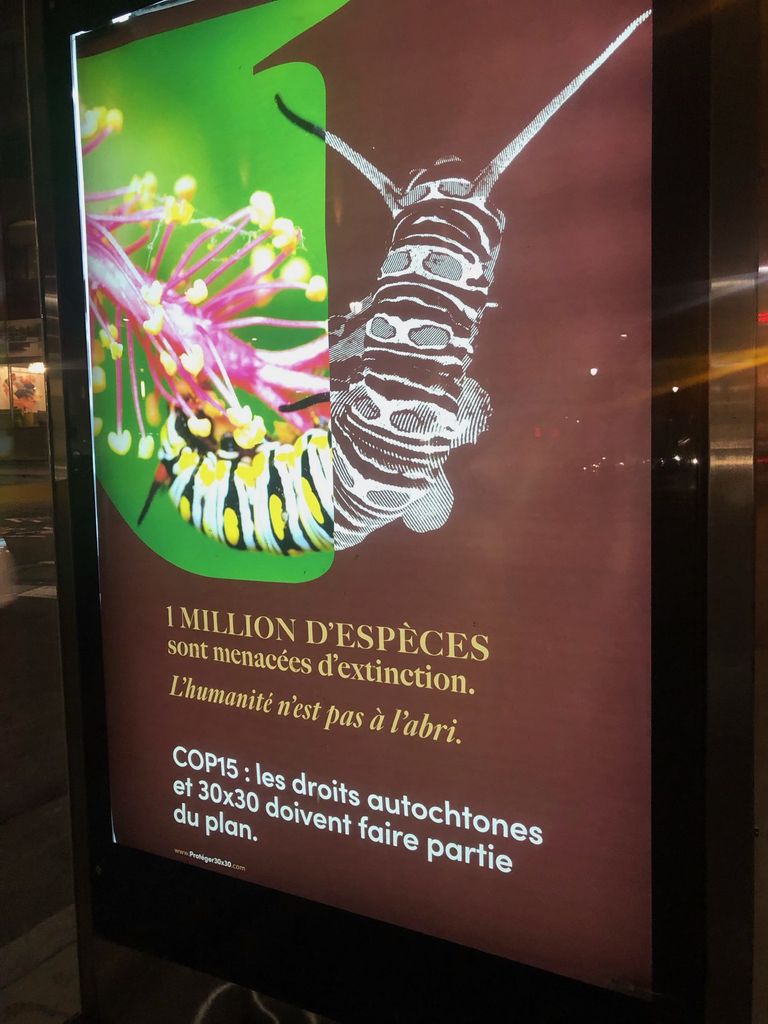 La COP15 consacrée aux négociations mondiales sur les nouveaux objectifs en matière de biodiversité était présente dans tout Montréal, y compris aux arrêts de bus. La COP15 consacrée aux négociations mondiales sur les nouveaux objectifs en matière de biodiversité était présente dans tout Montréal, y compris aux arrêts de bus.